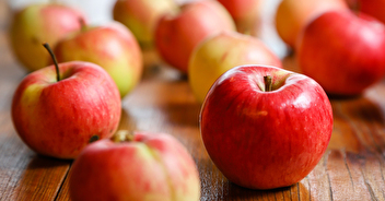 Nouvel achat groupé pommes et poires bio de Haute-Savoie