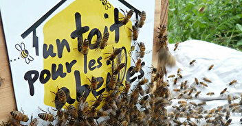 Parrainez une ruche pour sauver les abeilles