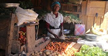 Madagascar : Éléonore, un nouveau micro-crédit après la maladie