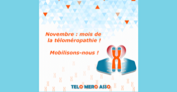 Telomero Asso News - Le mois de Novembre est arrivé !