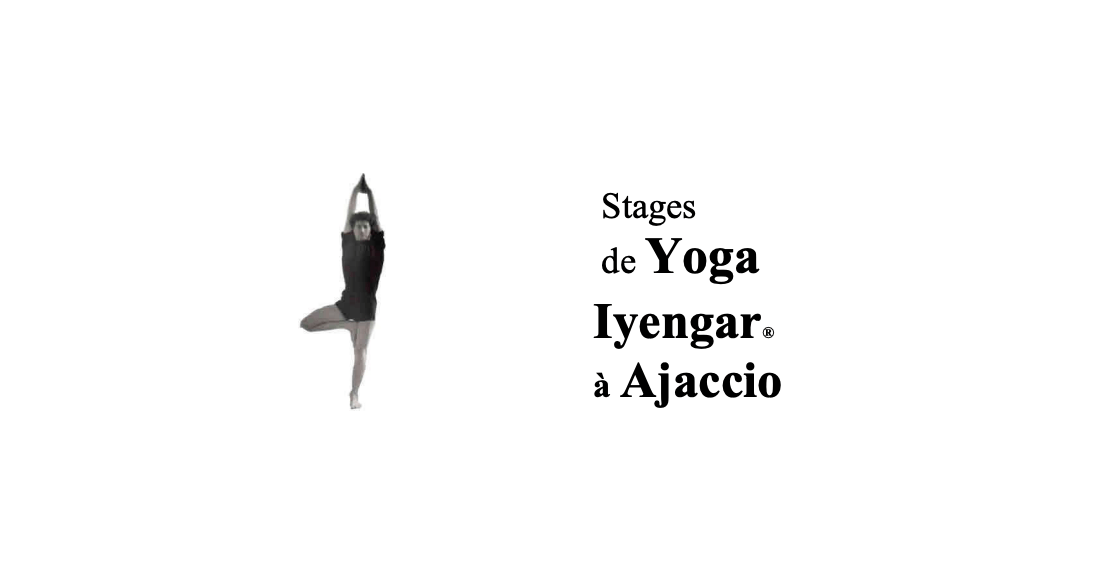 Stage bases et approfondissement