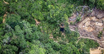 L'orpaillage illégal dans la réserve des Nouragues éradiqué