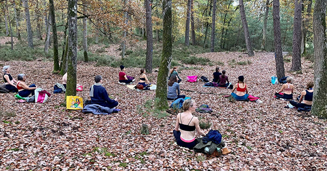 Yoga, nature et froid au rdv de la forme, Fontainebleau