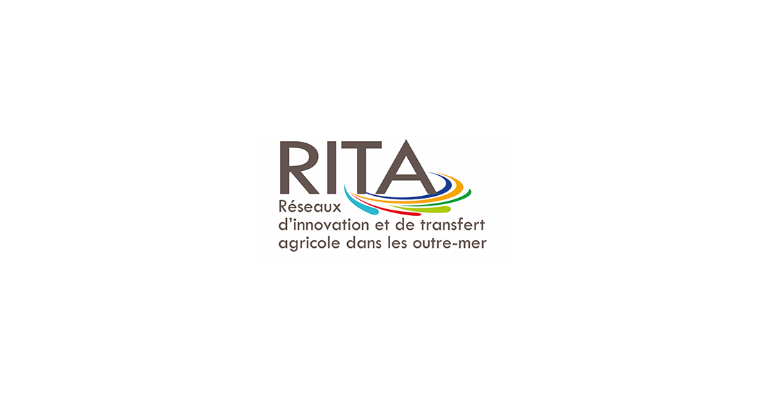 2 animateurs pour le RITA de Mayotte