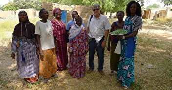 Microcrédits au Burkina Faso - ONG Graine