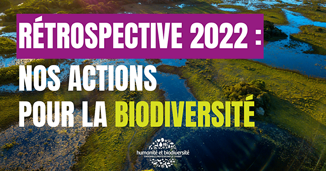 Rétrospective 2022 : nos actions pour la biodiversité
