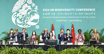 COP 15 : un accord historique pour la biodiversité