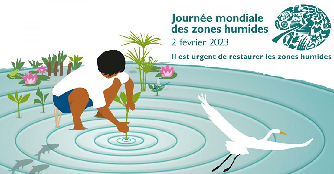 JMZH 2023 : il est urgent de restaurer les zones humides !