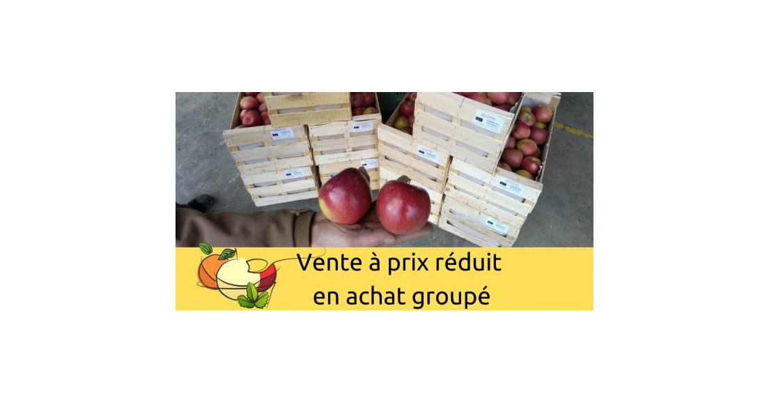 Achat groupé - pommes bio / toujours d'actualité !