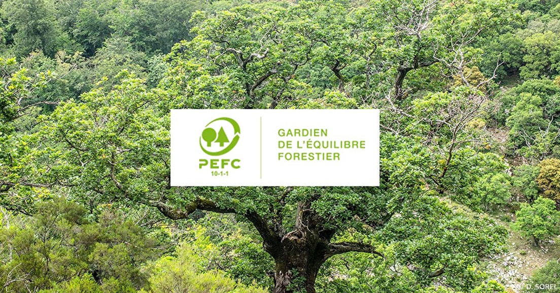 Consultation publique sur le projet de nouveaux standard français PEFC