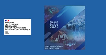 DGE. Le rapport d'activité 2022