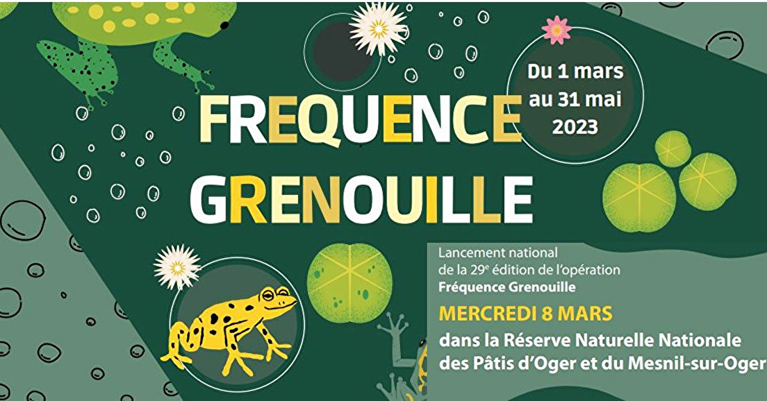 INSCRIPTIONS : lancement national de l’opération Fréquence Grenouille 2023