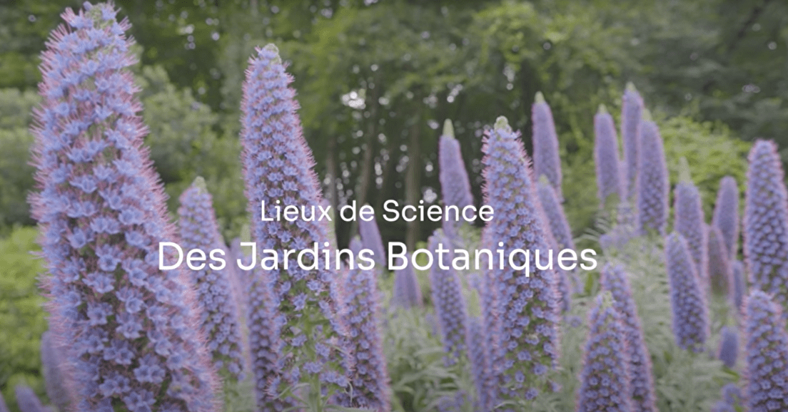 Un reportage sur les Jardins botaniques en France