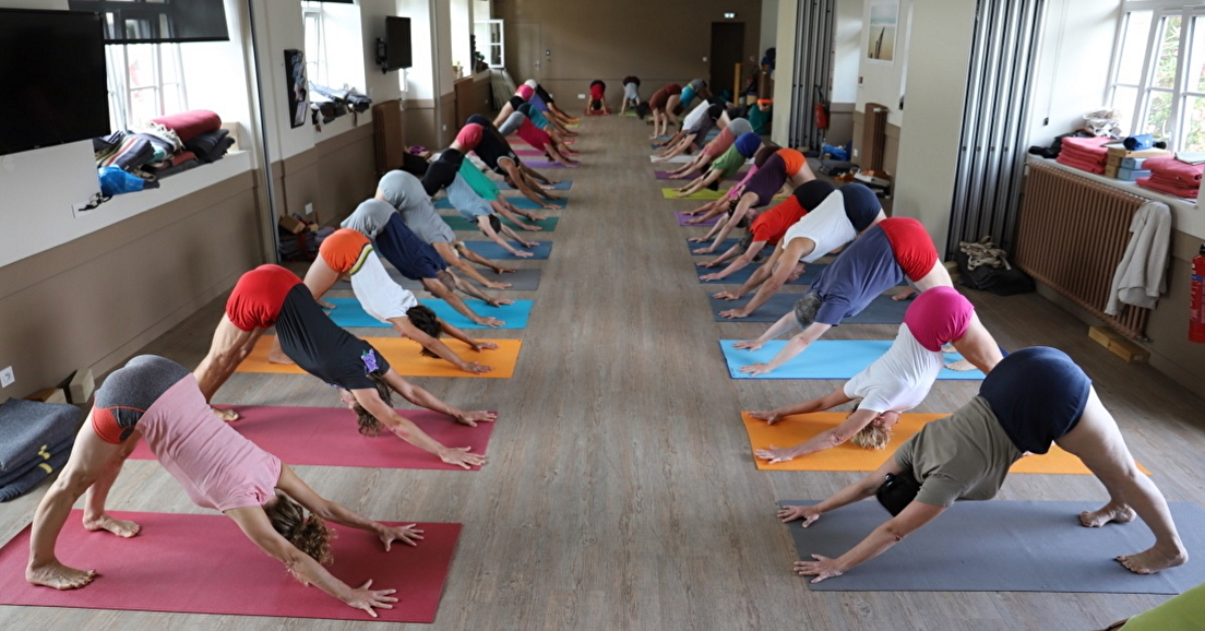 Stage d’été de Yoga Iyengar® à St Malo Niveau Avancé
