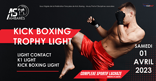 Kick Boxing Trophy Light - Boxing