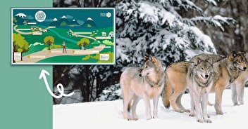 Vade-mecum : anticipez le retour du loup dans votre réserve naturelle