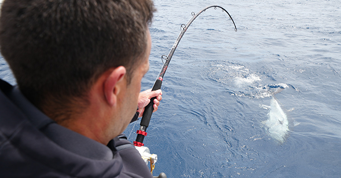 Réglementation de la Pêche du Thon Rouge à Monaco