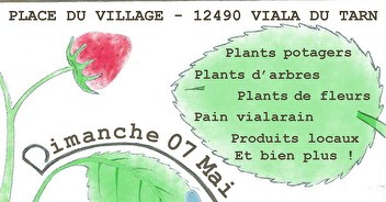 MARCHE AUX PLANTS - DIMANCHE 07 MAI 2023 - 09H00