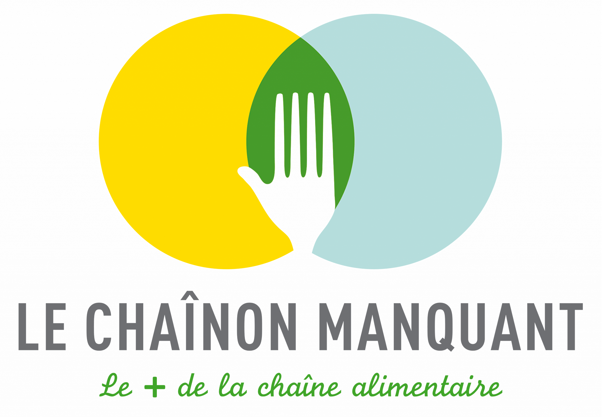 Logo Le Chainon Manquant