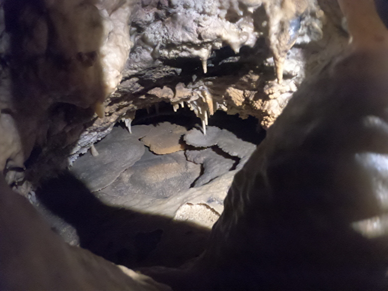 USF Spéléologie, concrétions roues, grotte de Trabuc, Mialet, Gard