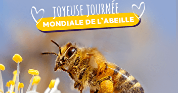 20 mai - Le DOJO UNIONAIS fête la journée mondiale de l'abeille