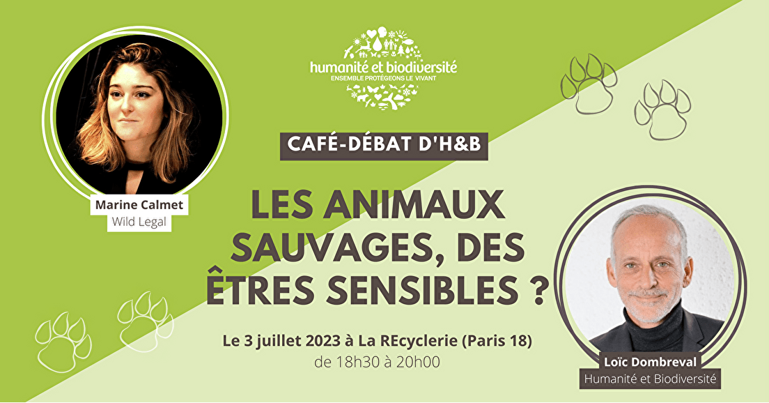 Café-débat du 3 juillet : "Les animaux sauvages, des êtres sensibles ?"