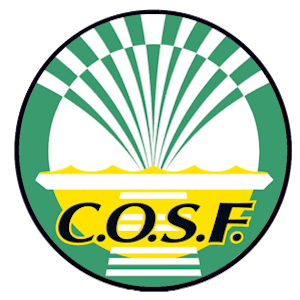 C.O.S.F (Club Omnisports de St Fons)