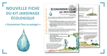 Nouvelle fiche du kit jardinage écologique : "Economiser l'eau au potager"