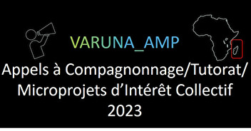 VARUNA_AMP : lancement des appels à Compagnonnage/Tutorat/Microprojets