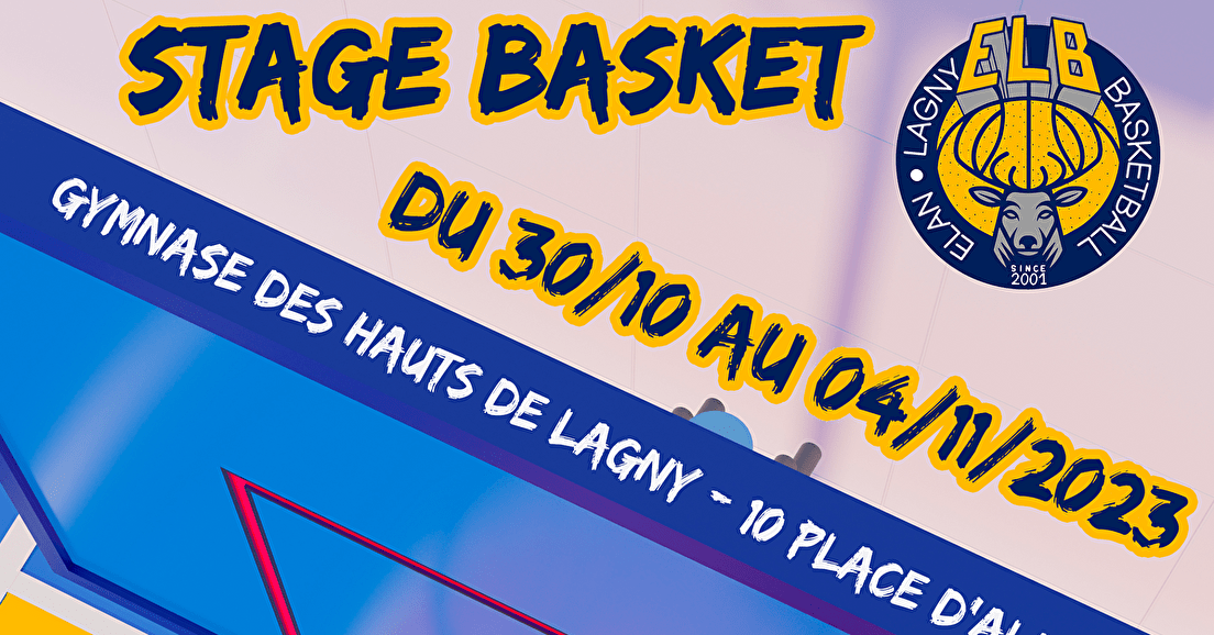 Stage Basket du 30 octobre au 4 novembre 2023