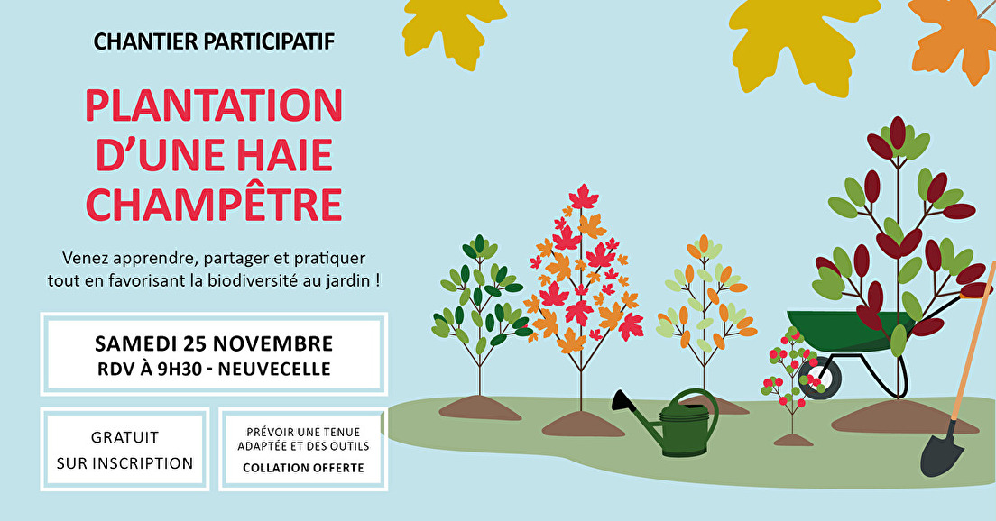 Chantier participatif : plantation d'une haie champêtre à Neuvecelle