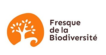 Fresque de la biodiversité lundi 20 novembre 19h15 à 22h15