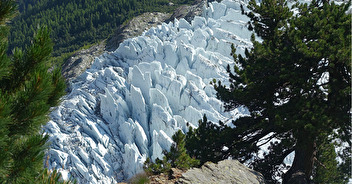 Pétition pour la protection des glaciers