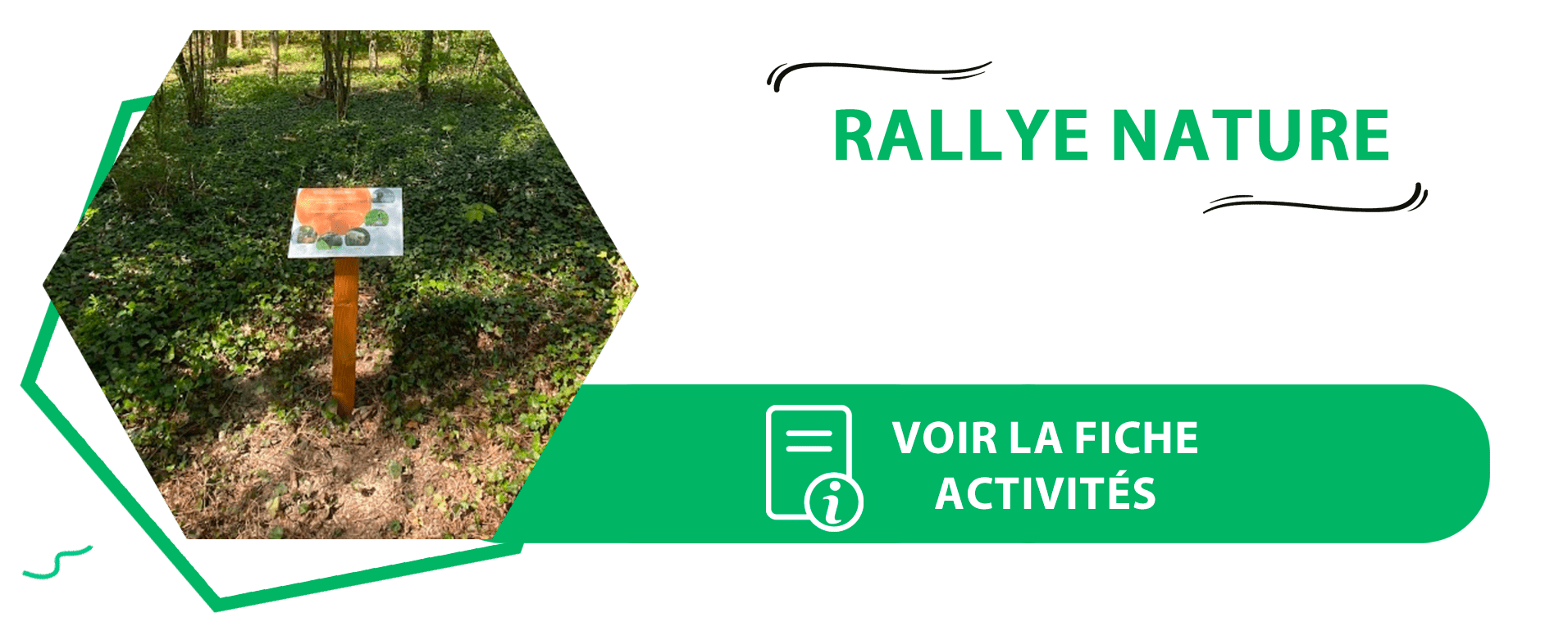 Association ArboréSens Amiens - Grimpe d'arbres
