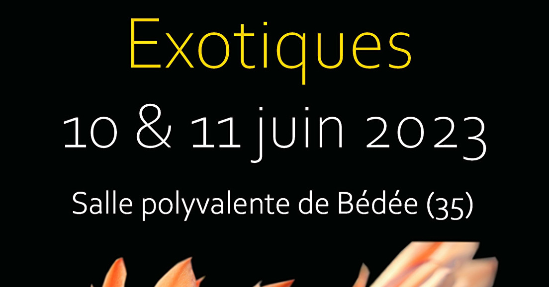 Salon des plantes exotiques de Bédée 2023 préparation