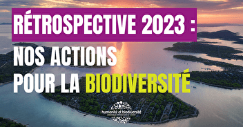 Rétrospective 2023 : nos actions pour la biodiversité