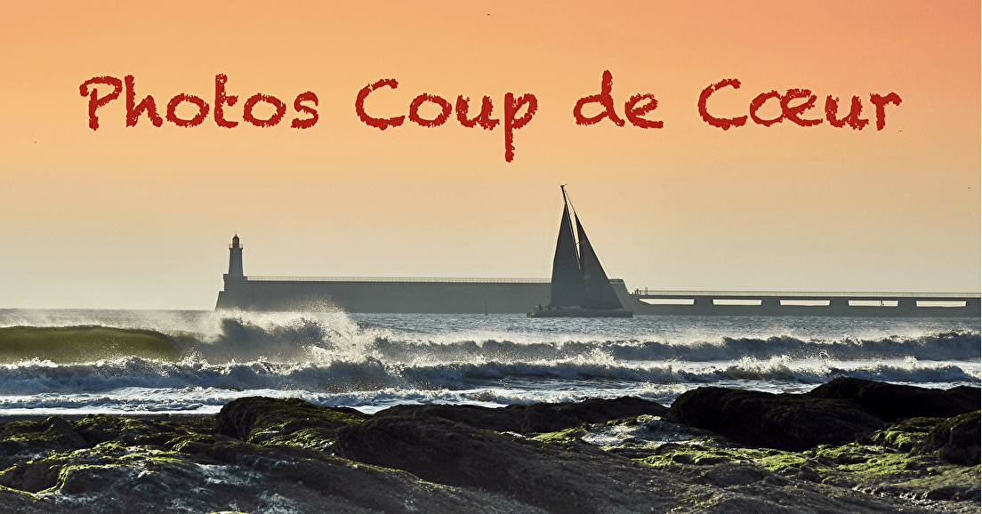 Nos photos "Coup de Cœur"
