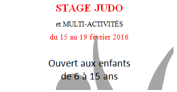 Stage de Judo et multi- activités Février 2016