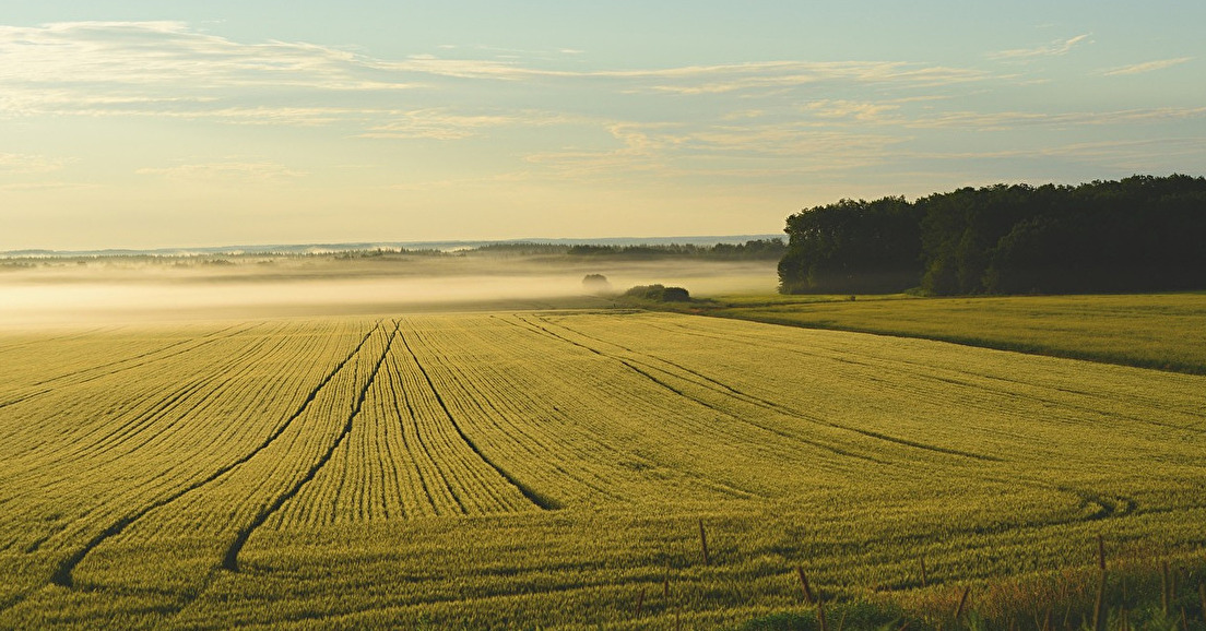 Quelle politique agricole et alimentaire pour l'UE ?
