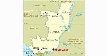 International : Recherche experts en métiers du bois pour le Brazzaville