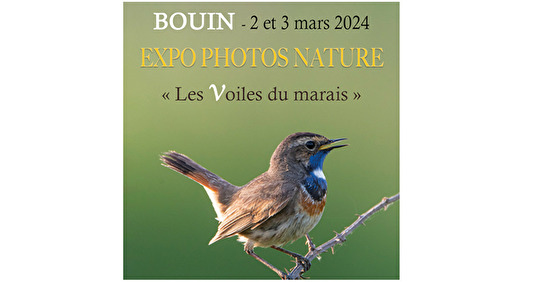 Expo Photos de Nature à Bouin