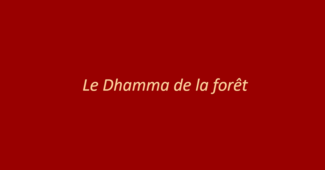 Le Dhamma de la forêt
