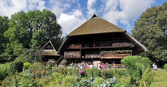 Chrysanthema au cœur de la Forêt Noire (5 au 7 novembre 2024)
