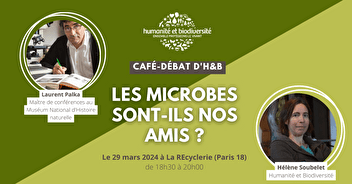 Café-débat « Les microbes sont-ils nos amis ? »