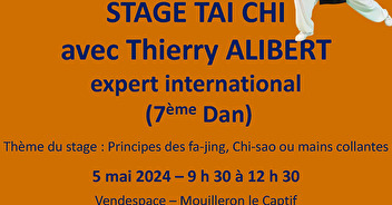 STAGE TAI CHI avec Thierry ALIBERT 5 MAI 2024 au VENDEESPACE