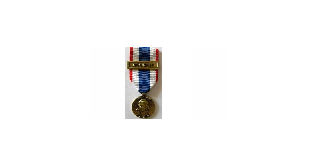 Attribution de la médaille de la protection militaire du territoire