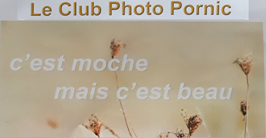 Le club PORNIC expose