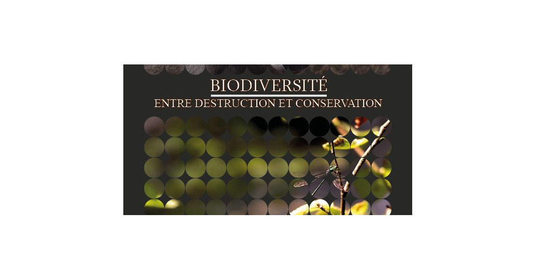 12/12 à 19:00 > Conférence Biodiversité