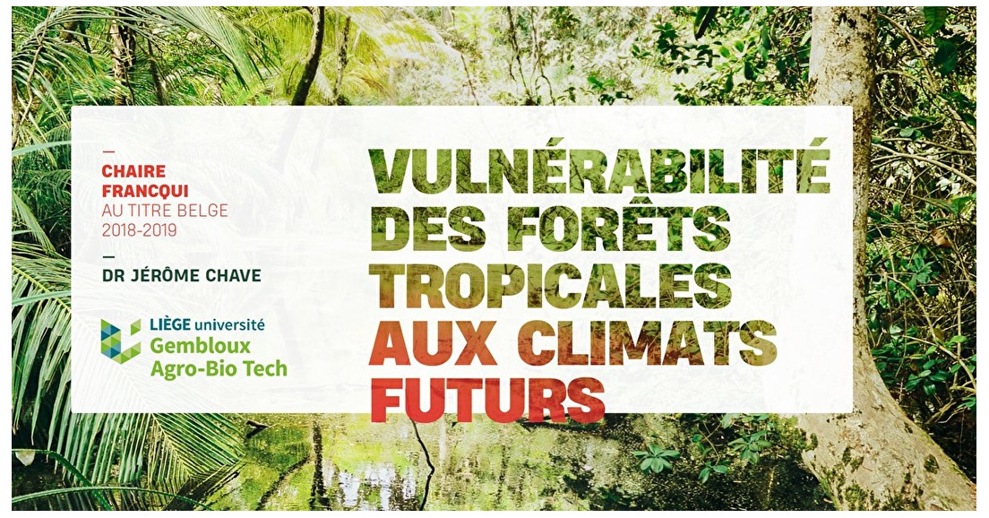 18/03 à 17:30 Vulnérabilité des forêts tropicales