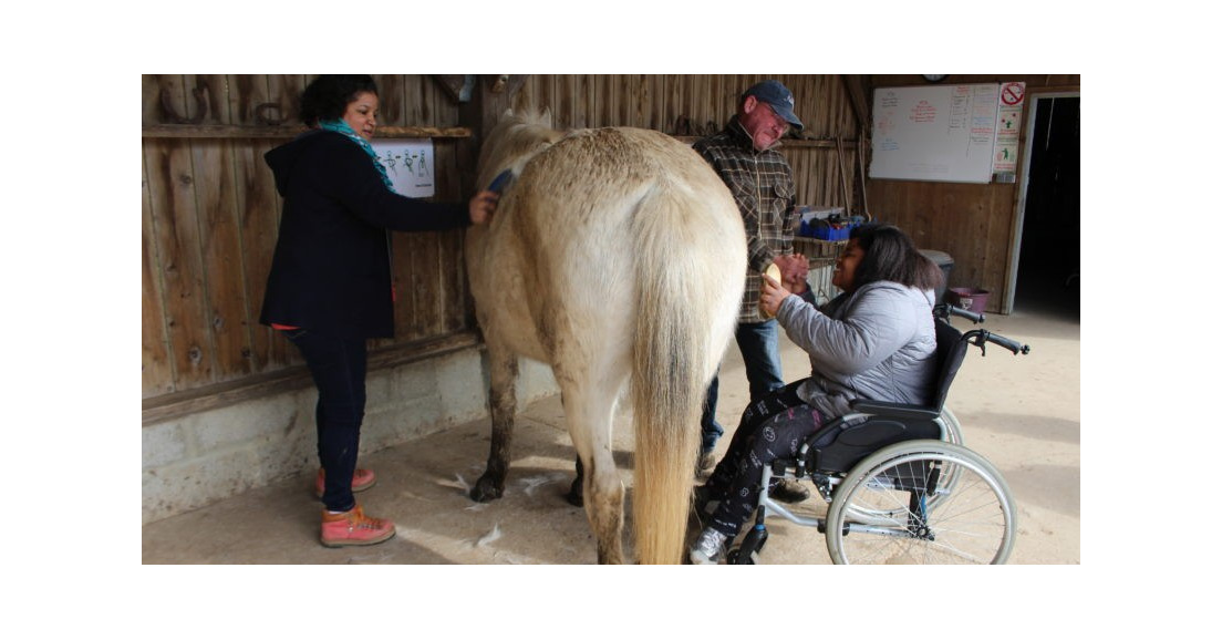 En Normandie, un centre équestre unique pour les personnes handicapées